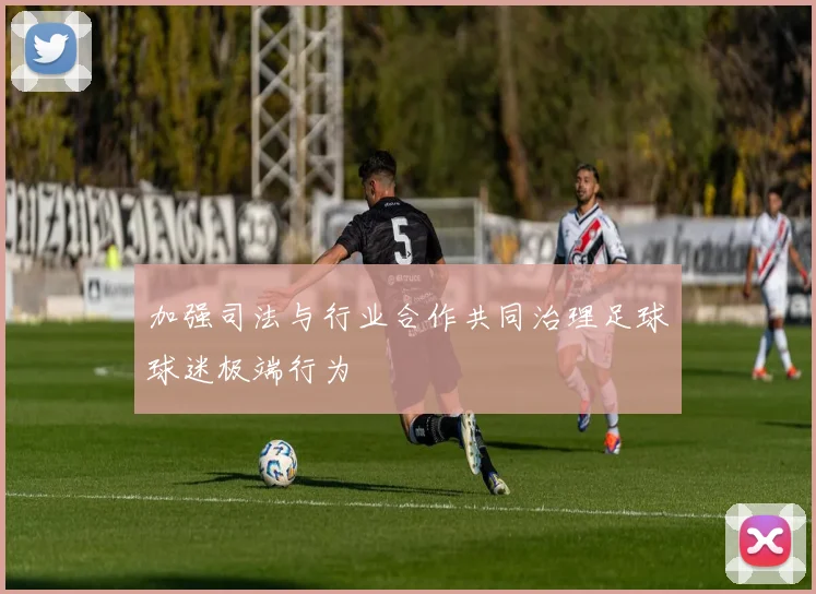 加强司法与行业合作共同治理足球球迷极端行为